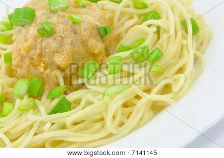 Spaghettis aux boulettes de viande et les oignons de printemps sur la plaque blanche