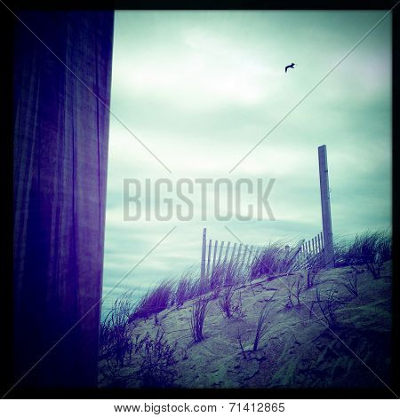 Instagram filtered image of sand dunes and a bird in filght