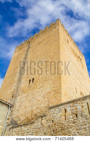 Medieval Tower