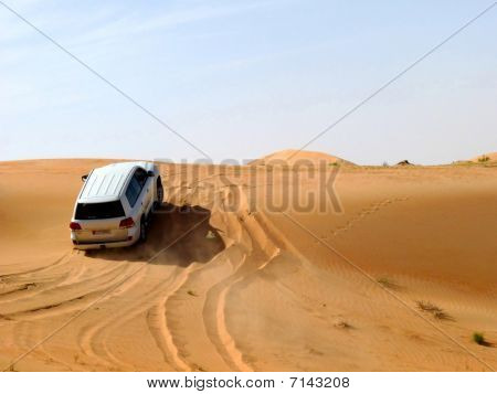 Safari del deserto