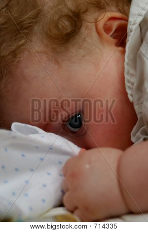 Застенчивая(ый) Baby