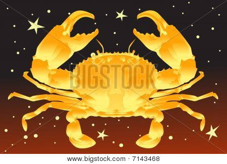 Kanker, de krab