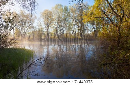 Serene Misty Morning On A Lakeside