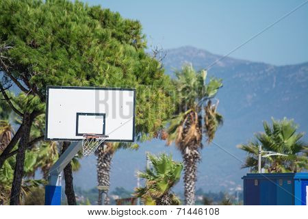 Hoop And Palms