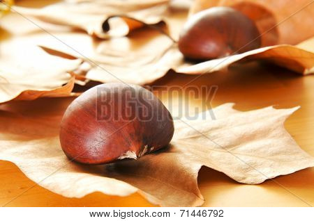 some chestnuts and autumn leaves on a wooden table