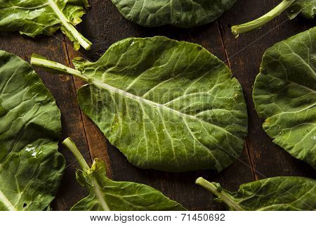 Raw Organic Green Collard Greens