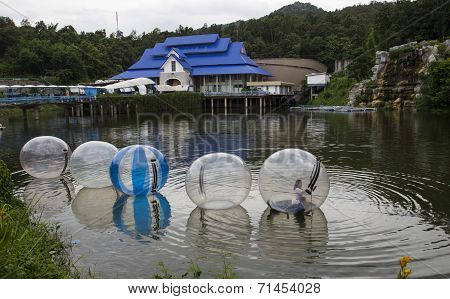 The Unidentified Kids Are Playing Zorbing In A Pool In Chiangmai Zoo