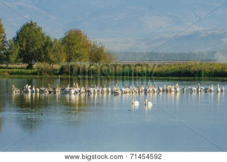 Agamon Hula Bird Refuge