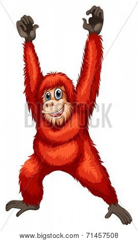 Illustration of a single orangutan