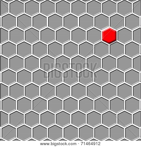 The Last (first) Cell White. Isolated