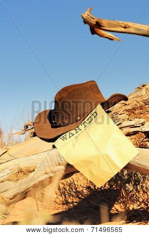 Wanted Far West