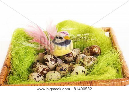 Bird sitting in a nest with Easter quail eggs