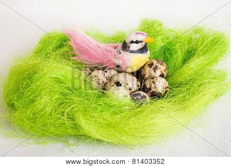 Bright bird sitting in a nest with Easter quail eggs on a white background