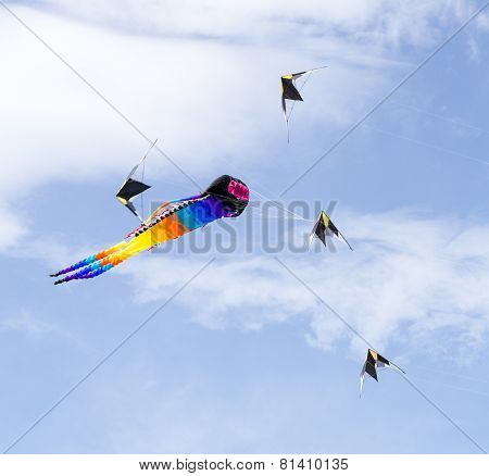 Great Octopus-like Kite In The Group Of Small Kites