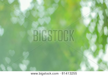 Abstract Background Heart Shape Boken In Green Tone