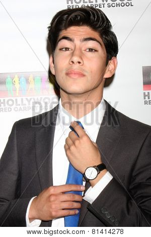 LOS ANGELES - JAN 17:  Jeromy Ramos at the Hollywood Red Carpet School at Secret Rose Theater on January 17, 2015 in Studio City, CA
