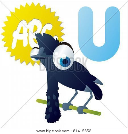 animal abc learning for kids: U is for cute little Umbrella bird, vector illustration set for children, bright colors for flash card game