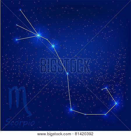 Constellation scorpio