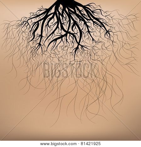 Roots Of The Tree