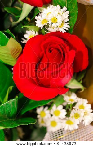Rose And Lily Flowers Background.