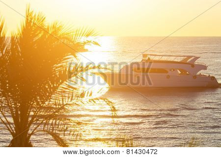Tropical sunset