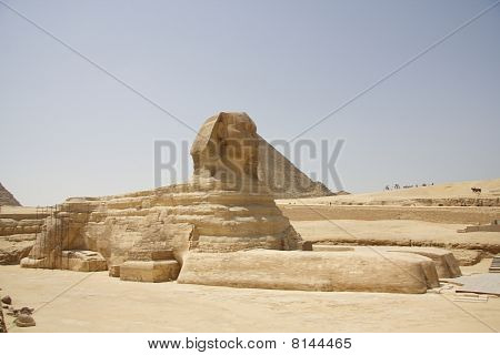 Sphinx