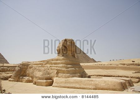 An ancient egyptian Sphinx