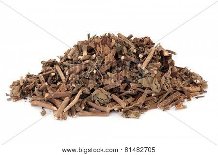 Korean mint herb used in chinese herbal medicine over white background. Tu huo xiang.