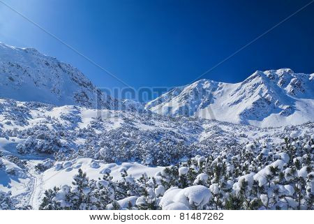Idyllic Winter