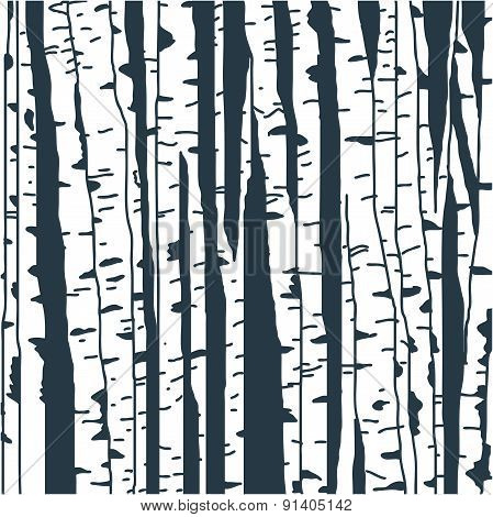 Birch trees background