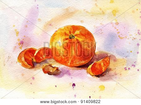 Watercolor Tangerine Hand-drawing
