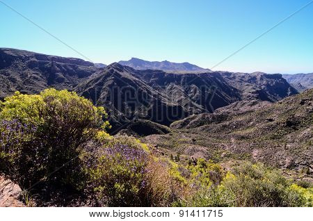 Volcanic Rock Basaltic Formation in Gran Canaria