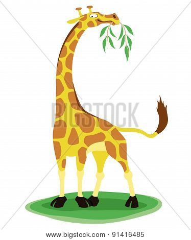 Vector illustration. Giraffe.
