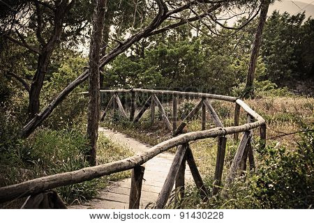 Wooden Path In The Pine Wood In Vintage Effect