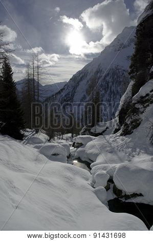 Winter