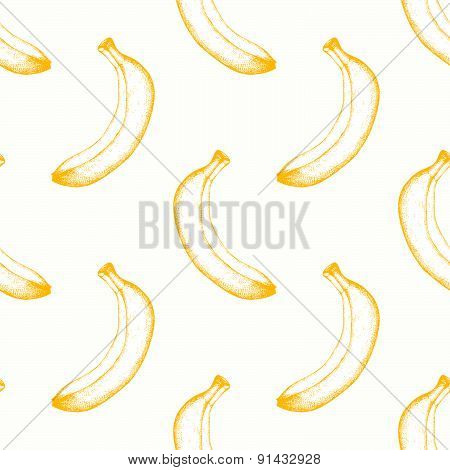 Vector vintage fruit background