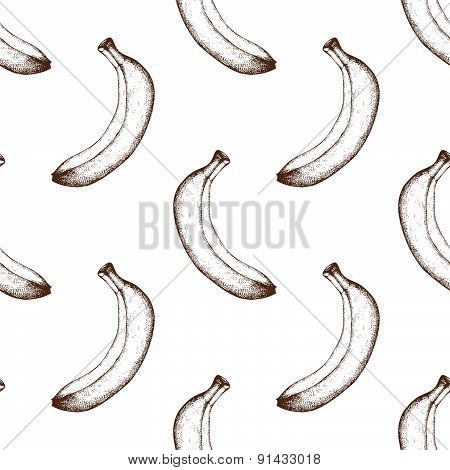 Vector vintage fruit background