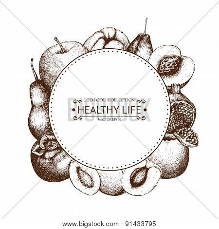 Vintage fruits illustration for eco food isolated on white