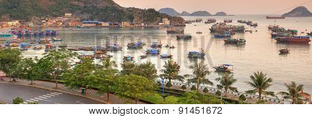 Cat Ba island colourful boats