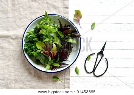Fresh Garden Herbs In A Vintage Plate On A White Surface