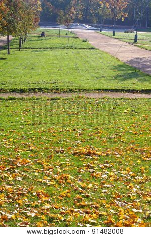 Autumn In Park