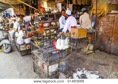 Indian Men Sell Their Chicken  And Cocks