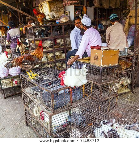 Indian Men Sell Their Chicken  And Cocks