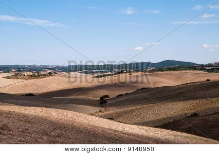 Senesi เกาะครีต