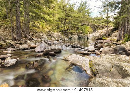 Genoese Bridge Over Tartagine River In Northern Corsica