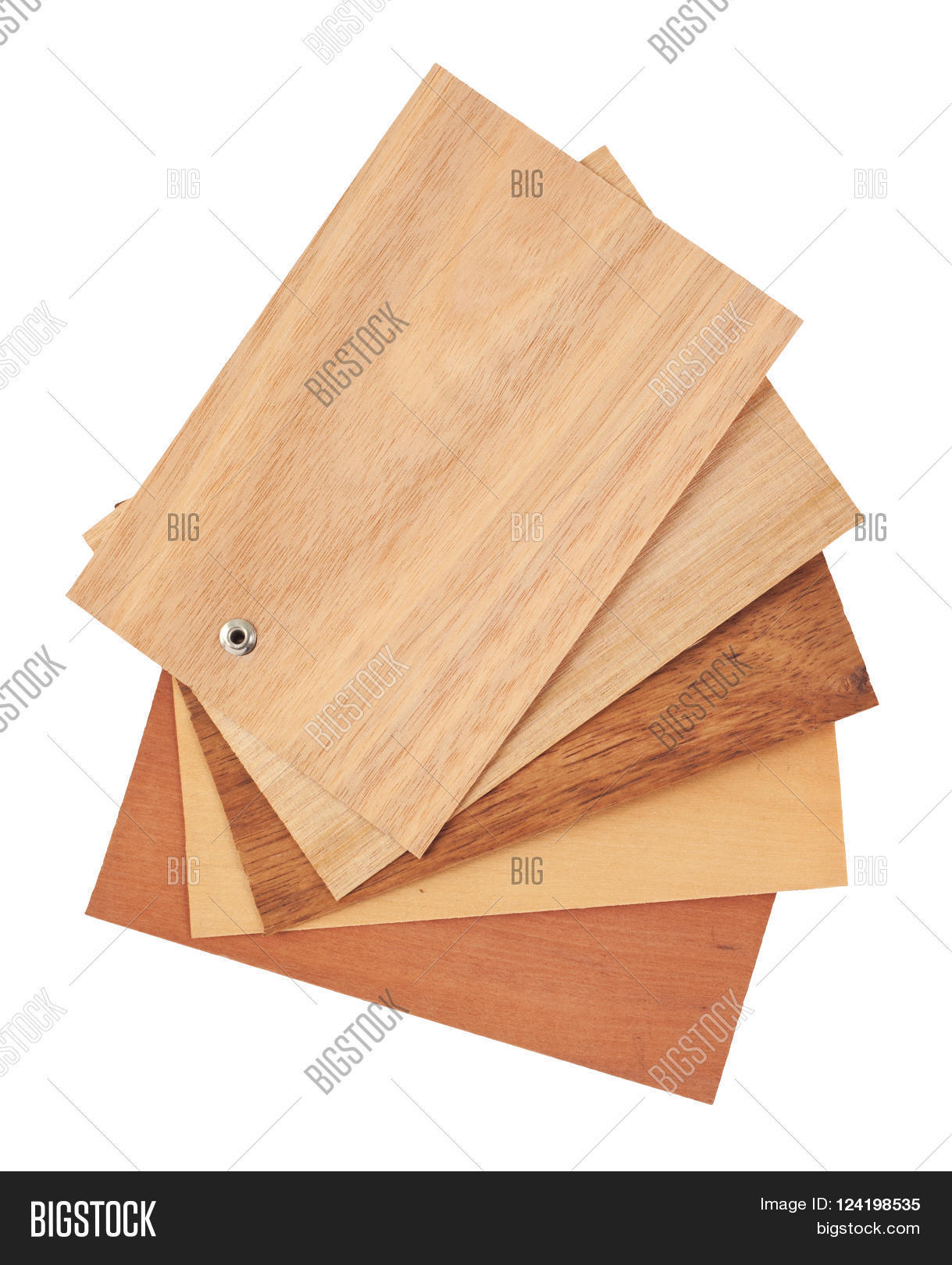 Tasmanian Timbers Some Image & Photo (Free Trial) Bigstock