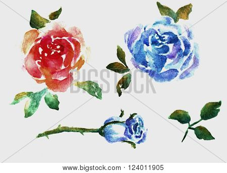 Set of isolated elements of flowers roses. Watercolor illustration
