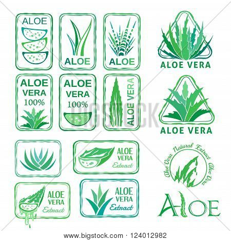 Aloe vera design elements. Aloe vera stamps collection.