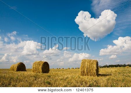 corazón en el cielo con la izquierda del espacio de los fardos de heno de oro insertar texto en el campo en una pe