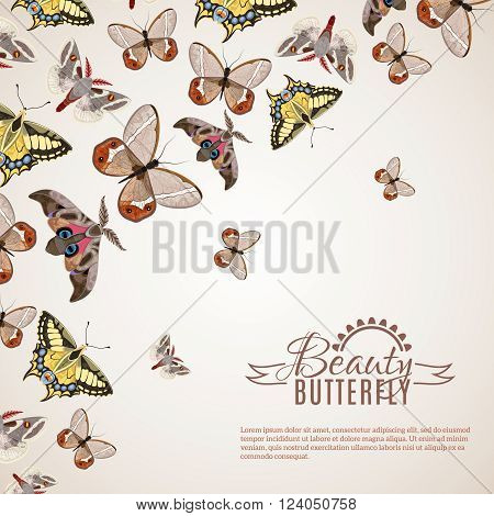 Beautiful butterfly decorative background with different moths and machaons vector illustration